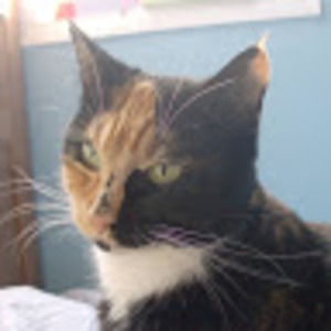 Meet your Posher, Vanessa